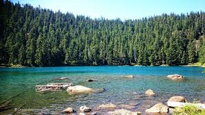 Check spelling or type a new query. Buck Lake Mt Hood National Forest Oregon Discovery