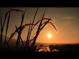  Background Video Pemandangan Senja Yang Indah Youtube Di 2021 Pemandangan Langit Video