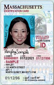 Pennsylvania novelty under 21 drivers license vertical format. Https Www Mass Gov Doc A Guide To The New License And Identification Card Download