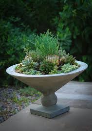 Check spelling or type a new query. Succulent Garden Care The New York Times