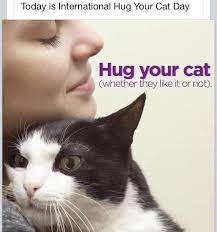 We did extensive research, as there are several dates referenced for this special day. Who Hugs Your Cat Http Linkonym Appspot Com Http Absoluteguideline Com Hug Your Cat Day Cat Day Cat Jokes