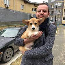 Diamond g corgis is a breeder that takes pride in raising quality akc registered pembroke welsh corgi puppies. Corgi Puppies For Sale Home Facebook