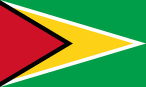 A lot of individuals admittedly had a hard t. Country Quizzes Guyana Trivia Quiz Questions With Answers Guyana Flag Guyanese Flag Flags Of The World