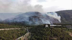 Yangın kısmen kontrol altına alındı. Uh4xt8cc0pq5lm