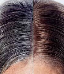 Roots can start showing anywhere from two to when you do a root touch up is a great time to refresh the color on your ends as well. Root Touch Up Honolulu Hair Color Maintenance Gray Hair Color