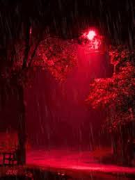 We did not find results for: Rain Night Gifs Tenor