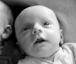 About — Luca Holstein Albers