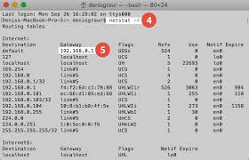 Hit ⌘ + space to search and open terminal How To Bypass Vpn For Specific Websites And Ips On Mac Os Cactusvpn