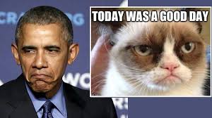 The barack obama presidency had its share of detractors and supporters, and being in the social media age, a wealth of funny memes—even without joe biden for the most part. Republicans They Re Like The Grumpy Cat Meme Obama Says Al Arabiya English
