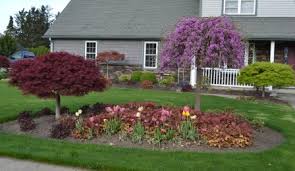 Burning bush landscape & turf care, llc. Landscaping Ideas What Plant Goes Where In The Landscape Mike S Backyard Nursery