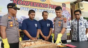 .telur ayam bangkok.banyak cara untuk kita bisa menetaskan telur ayam bangkok.selain yang alami di hal pertama yang perlu anda lakukan adalah hama serta kutu yang bakal menyerang.untuk. Polres Kendal Tangkap 2 Laki Laki Pencuri 6 Krat Telur Ayam Polres Kendal