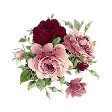 56g74544 Png Vintage Flowers Vintage Roses Flowers