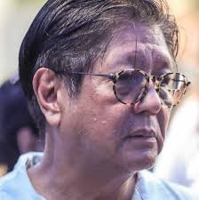 What are the pros and cons of a parliamentary system?