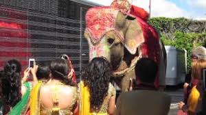 Maybe you would like to learn more about one of these? Elephant Used In Hindu Wedding Youtube