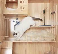 LaiFug Double Door Indoor Large Cat House