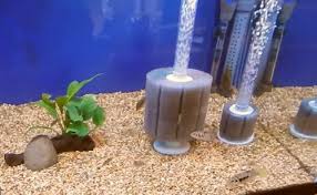 How Do Aquarium Sponge Filters Work How To Properly Use A Sponge Filter Best Sponge Filters For Diff Best Aquarium Filter Aquarium Filter Diy Aquarium Filter
