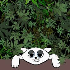 Daun unduh gratis unduh gambar png kartun indonesia apakah anda mencari gambar daun png pilih dari sumber gambar hd daun png dan unduh dalam bentuk png semua sumber daun ini untuk diunduh gunakan daun png gratis ini untuk desain web desain dtp selebaran proposal proyek sekolah poster dan lainnya kumpulan gambar buah apel yang segar. Kucing Kitty Kartun Gambar Gratis Di Pixabay