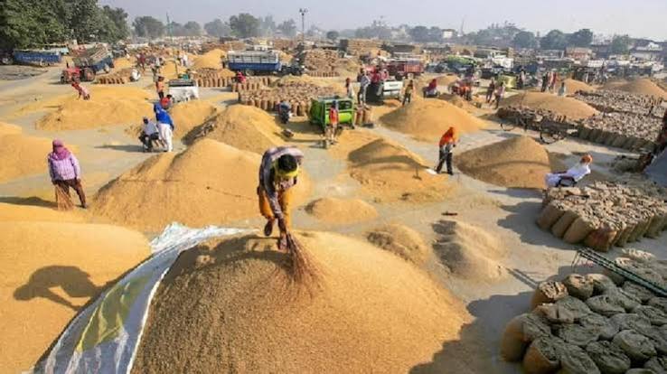 छत्तीसगढ़ में किसानों की बल्ले-बल्ले, शुरू हुई धान खरीदी, इतने लाख हुए रजिस्ट्रेशन - chhattisgarh dhan khareedi 25 lakh registrations for paddy procurement started lbsa - AajTak