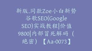 新版.同款Zoe小白新势谷歌SEO(Google SEO)实战教程|价值9800|内部 ...