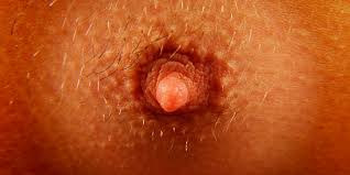 Mastitis Definition Und Symptome