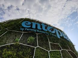 Keluar saja dari simpang tol ayer keroh dalam masa 5 minit saja dah sampai. Tempat Menarik Di Pulau Pinang Entopia By Penang Butterfly Farm Bukan Sekadar Taman Rama Rama