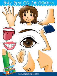 Please ensure the authenticity of the information you fill in. Body Parts Face Clipart Body Parts Clipart