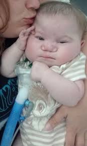 Kayden Lavelle Stuart Obituary (2024)