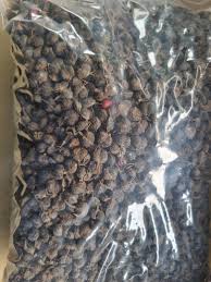 Image result for Alchornea occidentalis