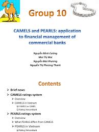 The revisions to the camel rating system include the addition of a sixth component (s) addressing sensitivity to market risks, the explicit reference to the quality of risk management processes in the management component hence, the rating system is referred to as the camels rating system. Camels Vs Pearls Market Liquidity Banks