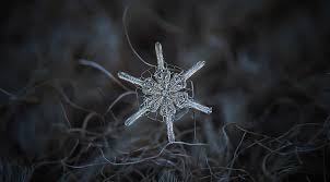 Customize and personalise your desktop, mobile phone and tablet with these free wallpapers! Hd Wallpaper Real Snowflake Macro Aero Winter Small Stars Background Wallpaper Flare
