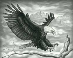 Black And White Flying Eagle Tattoo Flying Eagle Jpg 600 478 Eagle Drawing Eagle Tattoo Fly Drawing