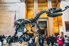 You are reading 25 best museums in nyc back to top. Best Museums In Nyc That Are Actually Worth Visiting Thrillist
