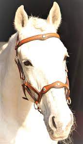 Subito a casa e in tutta sicurezza con ebay! Soft Feel Sidepull Deluxe Suedsattel Shop