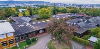 Schon die breite der möglichen fragestellungen macht klar, dass hier nur spezialisten mit viel erfahrung wirklich weiterhelfen können. Salier Gemeinschaftsschule Ein Ort Zum Wachsen