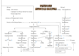 Diabetes mellitus merupakan sekelompok kelainan heterogen yang ditandai oleh kenaikan kadar glukosa dalam darah atau hiperglikemia. Doc 120249475 Pathway Dm Yosua Verrari Academia Edu