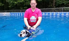 We want to be your dog's home away from home. Pet Resort Staff Wolcott West Hartford Ct Wagging Tails