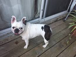 Pamela Ingold (@ingold_pamela)