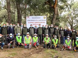 Ogm 274 işçi alımı ne zaman? Izmir Orman Bolge Mudurlugu Calisanlari 500 Fidani Toprakla Bulusturdu Cesme Haber