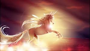 See more ideas about unicorn wallpaper cute, unicorn wallpaper, wallpaper. Unicorn Wallpaper Hd Magic Horse Fairy Themes Hd Wallpapers Backgrounds