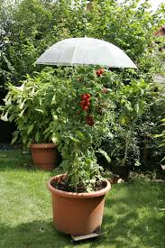 Ideal für familien mit kindern, die altersmäßig nicht weit lerne hier diesen trick, der dein leben ungemein verbessern wird. Tolle Hacks Fur Den Garten Diy Academy