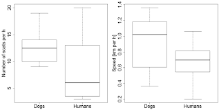 In adults the long bones of the legs and arms are filled with yellow marrow. Performance Of Detection Dogs And Visual Searches For Scat Detection And Discrimination Amongst Related Species With Identical Diets