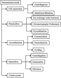 Production And Purification Of Glutamic Acid A Critical