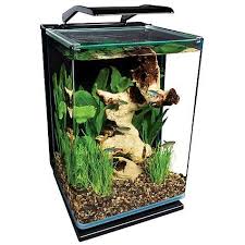 Pin On Fish Tank