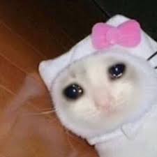 Pin On Mood
