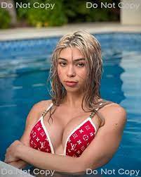 8x10 Aishah Sofey GLOSSY PHOTO photograph picture print bikini lingerie IG  model | eBay