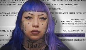 In San Antonio, a mother, Ashley Pardo, is under arrest for allegedly  enabling her son's alarming obsession with mass violence. The 33-year-old  faces serious charges after police discovered her son's disturbing drawings