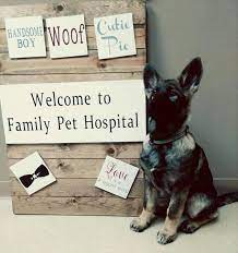 Compassionate pet care facility founded in 1963 by dw howard jr. Family Pet Hospital Clarksville Tn