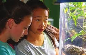 Sara Mandel's Instagram, Twitter & Facebook