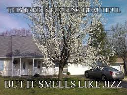 Neueste wöchentlicher top monatlich top meistgesehene. It S Spring And We Re Just Swimming In Plant Jizz Neogaf