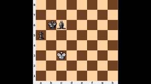 This opening shows you how a silver can be used along with rook for attacking your opponent. Chess Endgame Rook Pawn Bishop Of Wrong Color Youtube